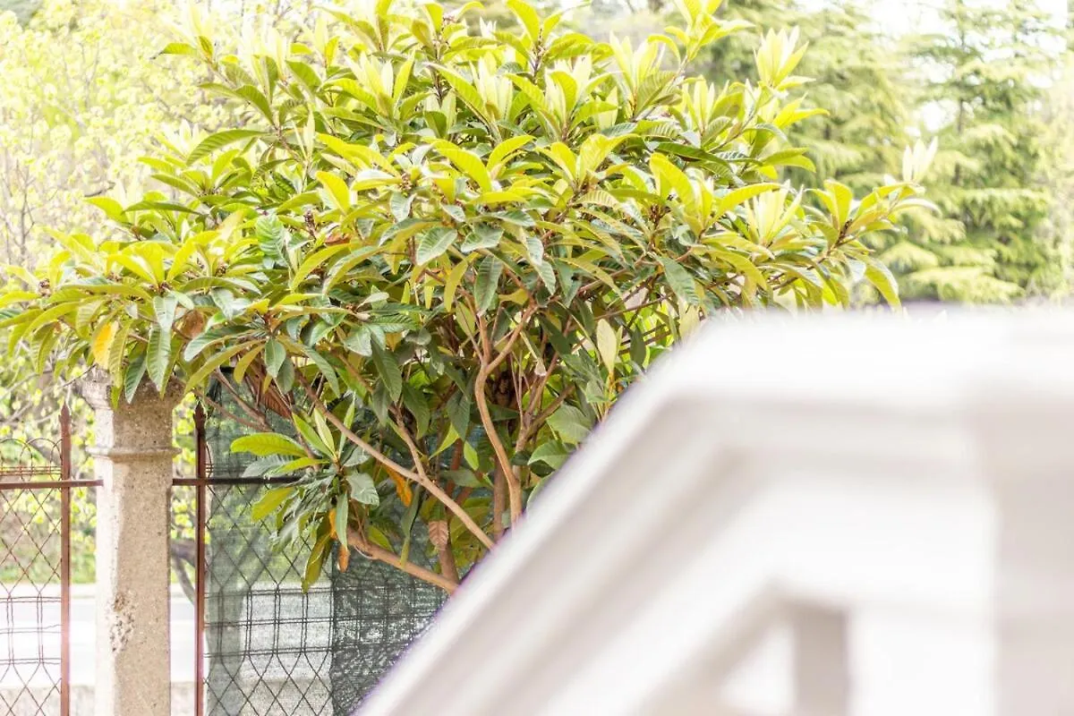 Art Nouveau Apartment With Garden Near The Station فيرونا